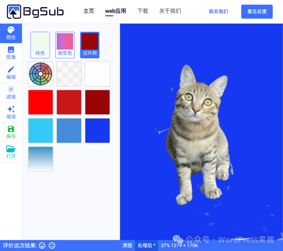 BgSub - 免费好用的在线 AI 抠图工具，不仅能去背景，还能免费保存高清分辨率照片