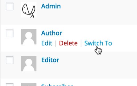 WordPress用户账号快捷切换插件user-switching